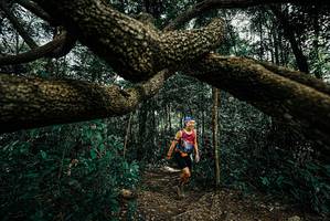 BIB: 
                            <button type="button" onclick="openModal(25708471)" class="btn btn-primary btn-sm float-right btn-popup" data-toggle="modal" data-target=".modal-high-quality">
                        <i class="fas fa-shopping-cart"></i> Add to Cart
                    </button>
                                            <button type="button" onclick="isThisMe(25708471, true)" class="btn btn-success btn-sm float-right btn-popup btn-isme hidden" data-toggle="tooltip" data-placement="bottom" title="นี่คือรูปของคุณใช่ไหม คลิกที่นี่เพื่อเอาเข้าอัลบั้ม">
                        <i class="fas fa-plus"></i> Add to album
                    </button>
                    <button type="button" onclick="isThisMe(25708471, false)" class="btn btn-warning btn-sm float-right btn-popup btn-isnotme hidden">
                        <i class="fas fa-ban"></i> Remove from album
                    </button>